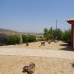 Arboleas property: Beautiful Villa for sale in Arboleas 237523