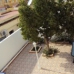 Villamartin property: 6 bedroom Villa in Alicante 238552