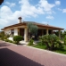 Hondon De Los Frailes property: Villa in Alicante 239193