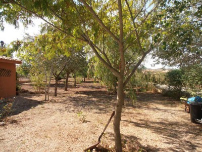 Hondon De Los Frailes property: Villa with 3 bedroom in Hondon De Los Frailes 239199