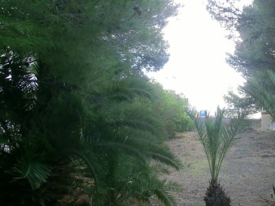 Alcossebre property: Alcossebre Villa 239645