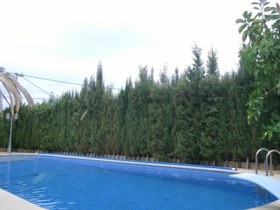 Alcossebre&nbsp;property:&nbsp;Villa&nbsp;in&nbsp;Castellon&nbsp;for&nbsp;sale&nbsp;239651