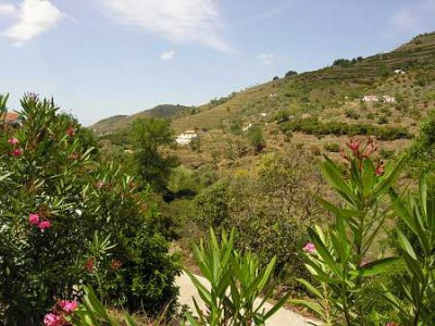 Competa property: Malaga Wooden Chalet 239778