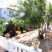 Denia property: Alicante Villa, Spain 239806