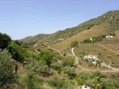 Competa property: Competa, Spain | Villa for sale 239952
