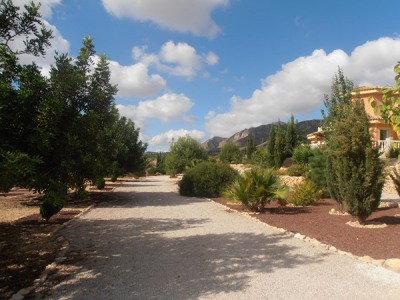 Hondon de las Nieves property: Alicante property | 5 bedroom Villa 239955