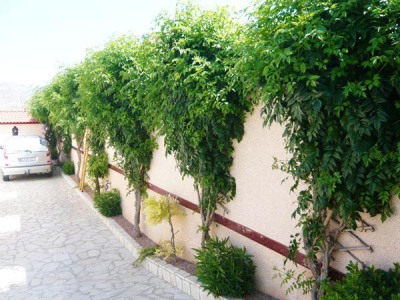 Hondon&nbsp;de&nbsp;las&nbsp;Nieves&nbsp;property:&nbsp;Alicante&nbsp;Villa&nbsp;239960