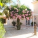 Hondon&nbsp;de&nbsp;las&nbsp;Nieves&nbsp;property:&nbsp;Hondon&nbsp;de&nbsp;las&nbsp;Nieves,&nbsp;Spain&nbsp;Villa&nbsp;239960