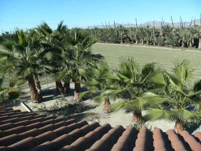 Crevillent property: Villa with 2 bedroom in Crevillent, Spain 239963