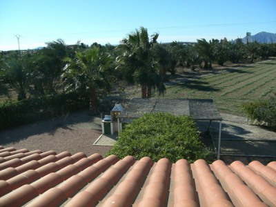 Crevillent property: Villa for sale in Crevillent, Alicante 239963