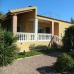 Crevillent property: Villa for sale in Crevillent 239963