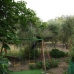 Setenil De Las Bodegas property: Beautiful Finca for sale in Setenil De Las Bodegas 240163