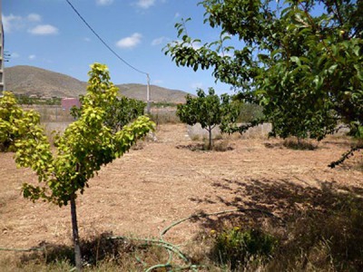 Hondon&nbsp;De&nbsp;Los&nbsp;Frailes&nbsp;property:&nbsp;Alicante&nbsp;property&nbsp;|&nbsp;2&nbsp;bedroom&nbsp;Villa&nbsp;240350