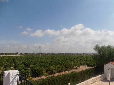 Albatera&nbsp;property:&nbsp;Villa&nbsp;for&nbsp;sale&nbsp;in&nbsp;Albatera,&nbsp;Alicante&nbsp;240357