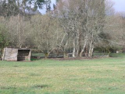 Palas De Rei property: Farmhouse for sale in Palas De Rei, Lugo 241299