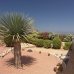 Villa in province 241769