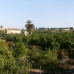 town Townhome, Spain 241778