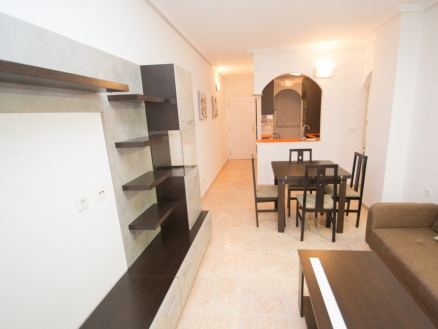 province Bungalow 241803