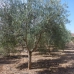 Hondon de las Nieves property: 4 bedroom Villa in Alicante 242126