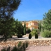 Hondon de las Nieves property: Hondon de las Nieves, Spain Villa 242137