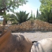Hondon de las Nieves property: Villa in Hondon de las Nieves 242137