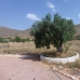 Hondon de las Nieves property: Hondon de las Nieves, Spain Villa 242139
