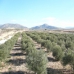Macisvenda property: Villa in Murcia 242144