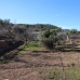 Hondon de las Nieves property: Beautiful Villa for sale in Alicante 242146