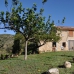 Oropesa Del Mar property: Castellon, Spain Finca 242441