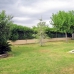 Alcossebre property: Finca in Alcossebre 242463