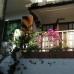 Alcossebre property: Alcossebre, Spain Apartment 242472