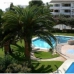 Alcossebre property: 2 bedroom Apartment in Castellon 242492