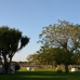 Vejer&nbsp;De&nbsp;La&nbsp;Frontera&nbsp;property:&nbsp;&nbsp;Farmhouse&nbsp;in&nbsp;Cadiz&nbsp;243199