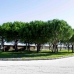 El Puerto De Santa Maria property: Beautiful Finca for sale in Cadiz 243206