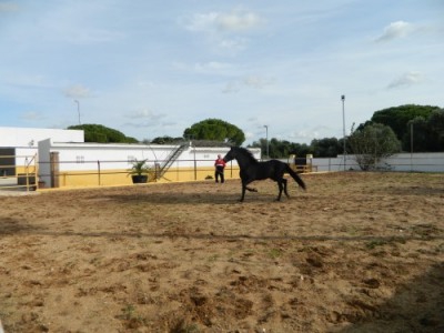 Chiclana De La Frontera property: Cadiz Finca 243211