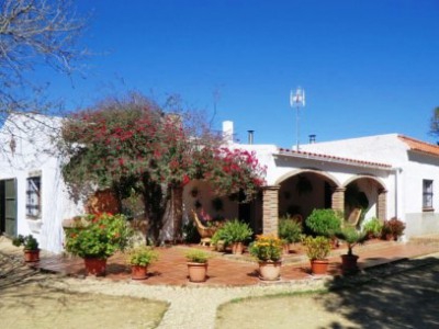 Benalup-Casas Viejas property: Finca for sale in Benalup-Casas Viejas, Spain 243212