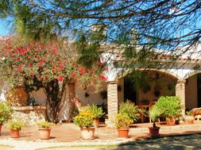 Benalup-Casas Viejas property: Cadiz Finca 243212