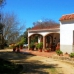 Benalup-Casas Viejas property: 3 bedroom Finca in Cadiz 243212