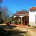 Benalup-Casas Viejas property:  Finca in Cadiz 243212