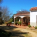 Benalup-Casas Viejas property: Finca in Cadiz 243212