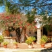 Benalup-Casas Viejas property: Beautiful Finca for sale in Benalup-Casas Viejas 243212