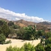 Marbella property: Villa in Malaga 243245