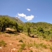 Marbella property:  Land in Malaga 243303