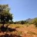 Marbella property: Land in Marbella 243303