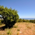 Marbella property: Malaga Land, Spain 243303