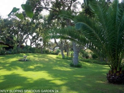 Almenara property: Villa with 6 bedroom in Almenara, Spain 243317