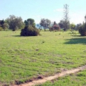 Marbella property: Commercial for sale in Marbella 243323
