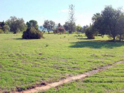 Marbella property: Commercial for sale in Marbella 243323