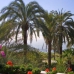 Los Monteros property: Los Monteros, Spain Villa 243334