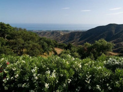 Elviria property: Elviria, Spain | Villa for sale 243375